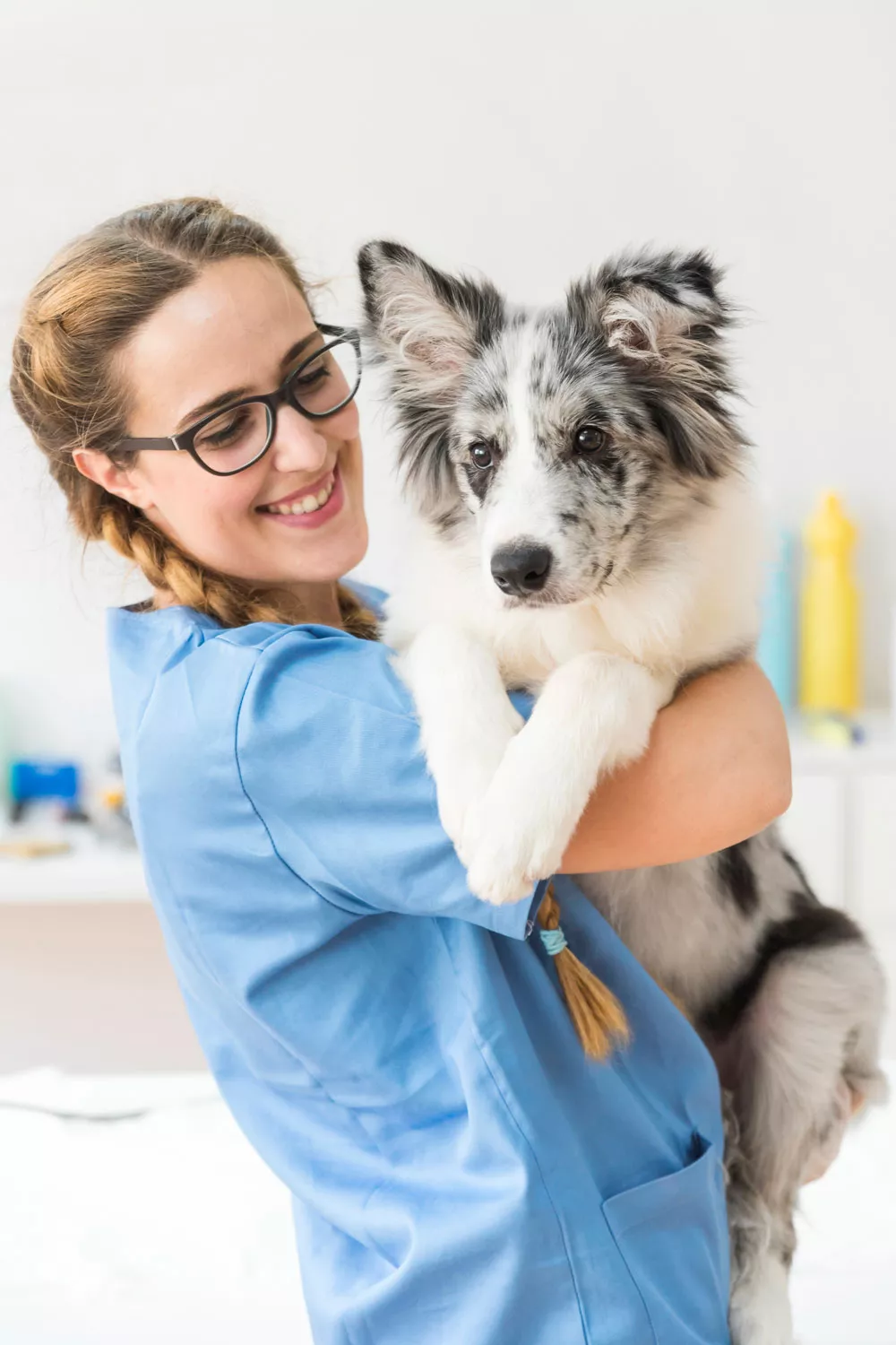 about pet clinic