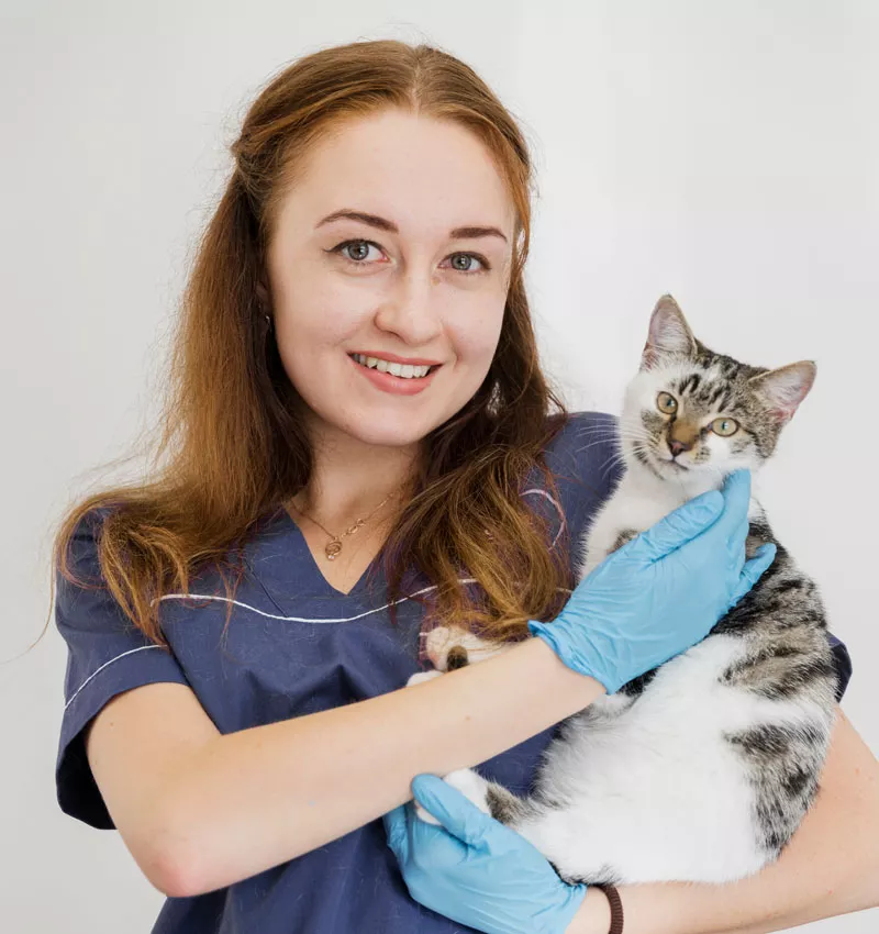 vet